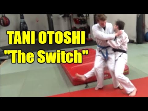 TANI OTOSHI SWITCH