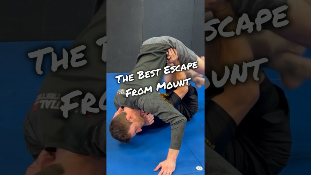 The Best Escape from Mount Position