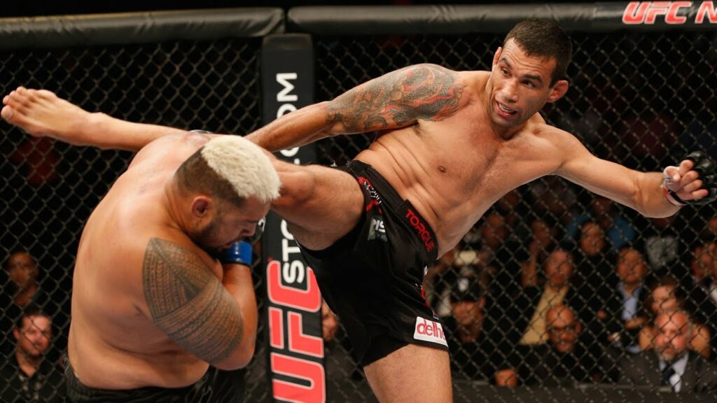 Top Finishes: Fabricio Werdum