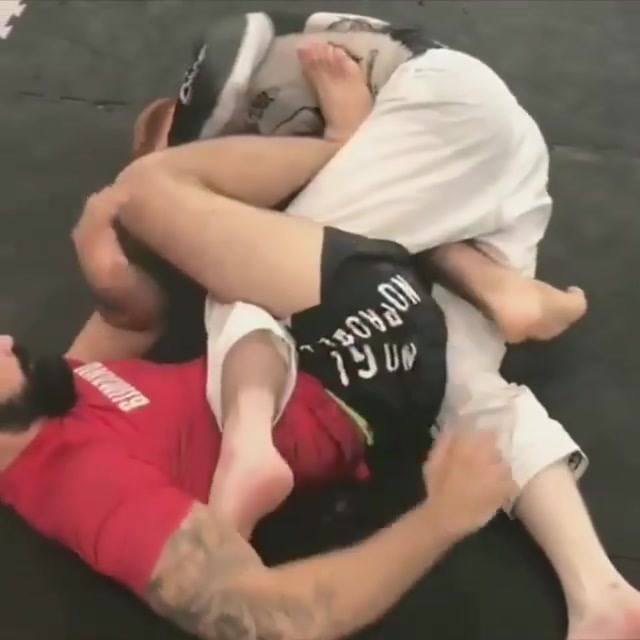 Top Reverse Half Guard Pass to Ashi Garami Leglock by @abelbjj