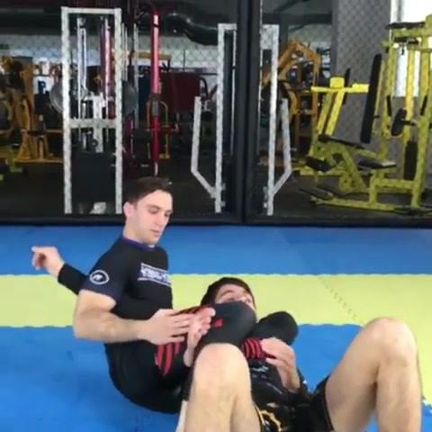 Triangle/Armbar from the Back