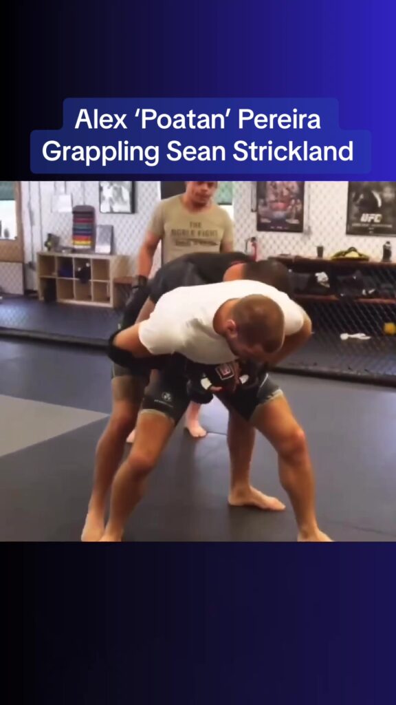 UFC LightHeavyweight Champion Alex Pereira Grappling with Former Middleweight C