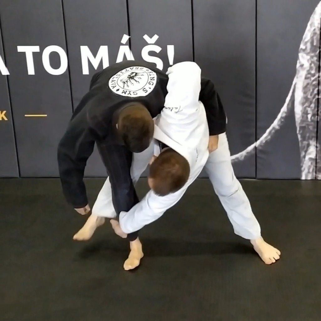 Uchi Mata >>> Ankle Pick