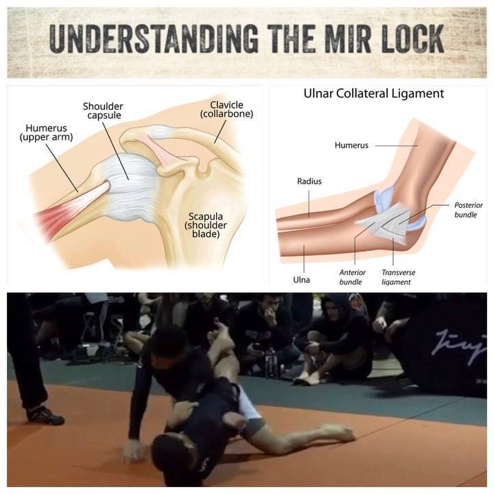 Understanding the Mir Lock
 ••••••••••••••••••••
 The Mir Lock is a rarely seen a...