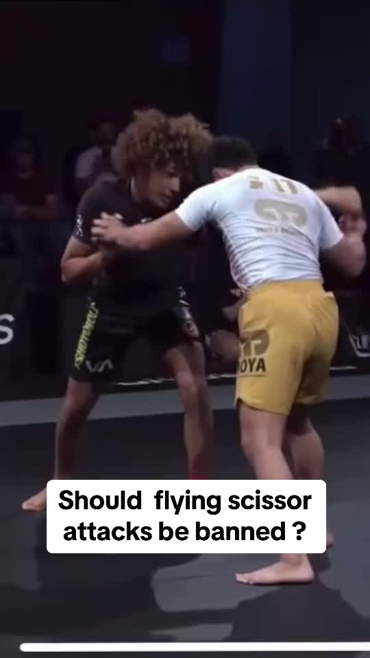 Whats yall thoughts on this? Should moves like this be banned in the sport? Or