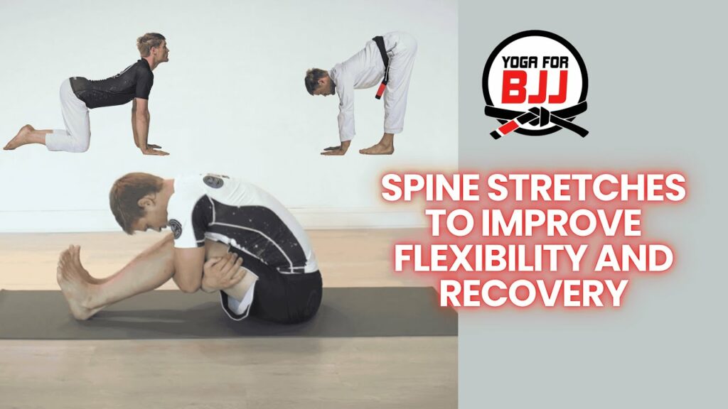 Yoga Follow Along - Spine Stretches to Improve Flexibility and Recovery